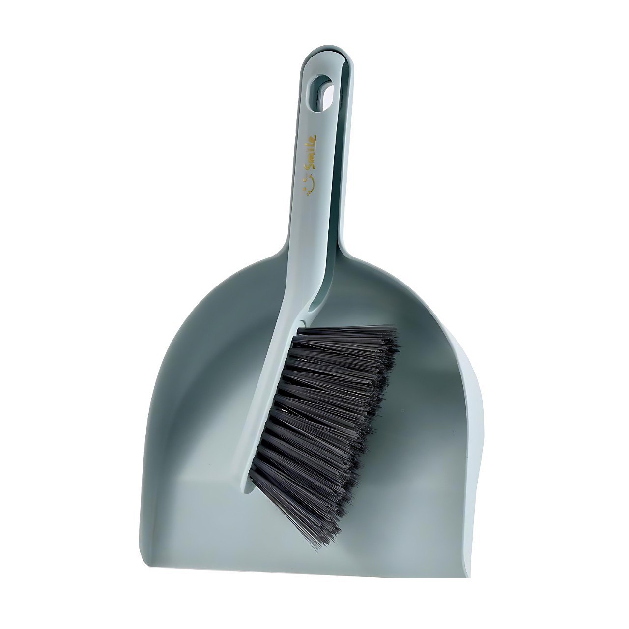 Plastic Dust Pan with Brush